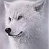 whitewolf