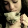 --KeDi--