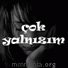 nefisemm